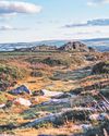 Festival will celebrate moor's countryside and community21