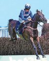 Centara proves an impressive winner33