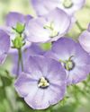 Call for West gardeners to help conserve horticultural heritage21