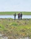 Setting the bog standard for healthy wetlands20