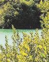 China clay mining museum launches photo competition23