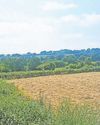 Busy remedying fall-out from dry spells27