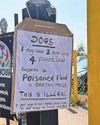 Dogs and foxes die after visits to city park7