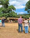 Family's pride in first-rate flock is clear to see at club open day31