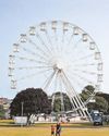 Big wheel is back on Hoe after more than a decade12