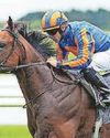 Lion could go for Prix du Moulin35