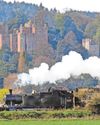 Steam train trips halted after fire next to rail line5