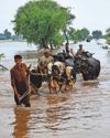Biggest flood in the history of Punjab province21