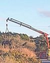 Firefighters rescue horse after it fell into mine shaft5