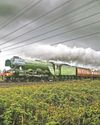 Flying Scotsman on track to mark 50 years of SW railway Flying Scotsman on track to mark 50 years of SW railway3