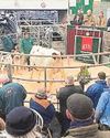 Western Morning News