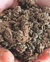 New moist feed blend is expanding its range New moist feed blend is expanding its range26