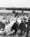 Call for evidence on 'Battle of Orgreave' Call for evidence on 'Battle of Orgreave'19