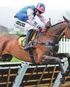 Festival winner White Noise star attraction at Haydock Festival winner White Noise star attraction at Haydock40