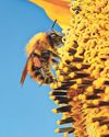 Experts call for urgent radical action to protect world food systems16
