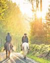Western Morning News