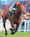 Goodwood is ideal prep for Haatem Goodwood is ideal prep for Haatem32