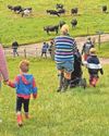 Open Farm Sunday set to showcase industry Open Farm Sunday set to showcase industry21