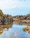 Public urged to take Big Rock Pool Challenge Public urged to take Big Rock Pool Challenge14