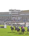 Alfaraz is recommended pick for punters at Chepstow today Alfaraz is recommended pick for punters at Chepstow today30