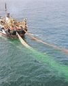 Action urged to stop 'destruction' of marine wildlife Action urged to stop 'destruction' of marine wildlife20