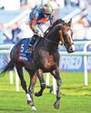 Scandinavia can hand O’Brien yet another Gold Cup Scandinavia can hand O’Brien yet another Gold Cup30