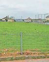 Banned dog in fatal pet attack put down Banned dog in fatal pet attack put down0