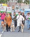 Trail hunt ban protest as policy consultation ends Trail hunt ban protest as policy consultation ends4