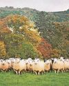 Farming community benefits from £1.2m government cash20