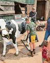 Visitors enjoyed a look behind the scenes at local farm11