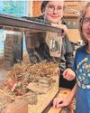 Eva and Emily are helping nature to recover one tiny step at a time4