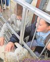 Market celebrates ‘buzzing' Spring Garden Festival success1