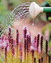 Water saving fund helps community projects19