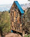 More to attract visitors to South Devon garden13