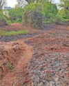 Residents' fears sparked as fires started close to homes0