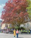 Bath Chronicle