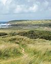 Easter walk led by historian gives insight into the remarkable heritage of mining landscape9