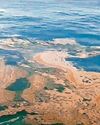Waste in bay identified as algal bloom by EA officers4