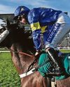 GLEN RISES TO CHALLENGE IN DECEMBER BID38