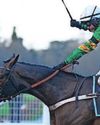 NICKY'S STAR TOI GOOD FOR RIVALS IN ASCOT BATTLE45
