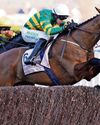 THE CHELTENHAM BRAZIL86