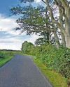 Police appeal after biker is killed in crash33