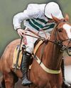 Fire to burn bright for Team Closutton in hot Fairyhouse novice test39