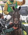 Sacre can rule the roost for Hawke in a cracking handicap hurdle at Perth Sacre can rule the roost for Hawke in a cracking handicap hurdle at Perth37