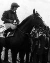 Champ nag Slain ‘in an awful way’ Champ nag Slain ‘in an awful way’27