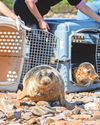 North Devon Journal