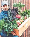 Farm produce company makes appeal to help it keep going after downturn25
