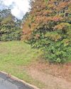 Council to sell 'ransom strip' so that affordable homes scheme can start5
