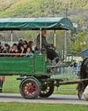 Farming fun A day full of animal magic and marvellous machines2
