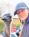 From eBay to emu Musician raises bird after late-night buy2